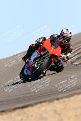 media/Feb-12-2022-SoCal Trackdays (Sat) [[3b21b94a56]]/Turn 12 (140pm)/